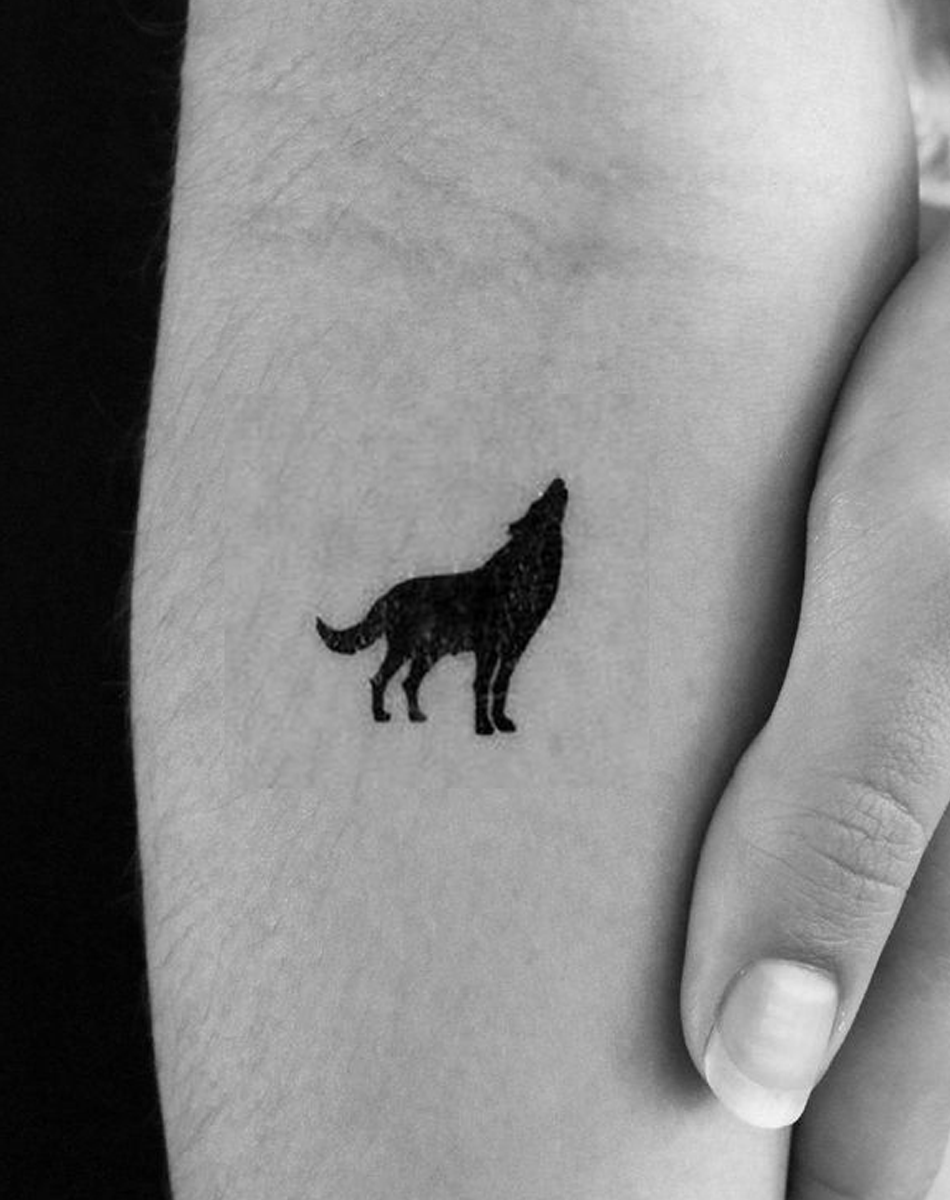 Male wolf
