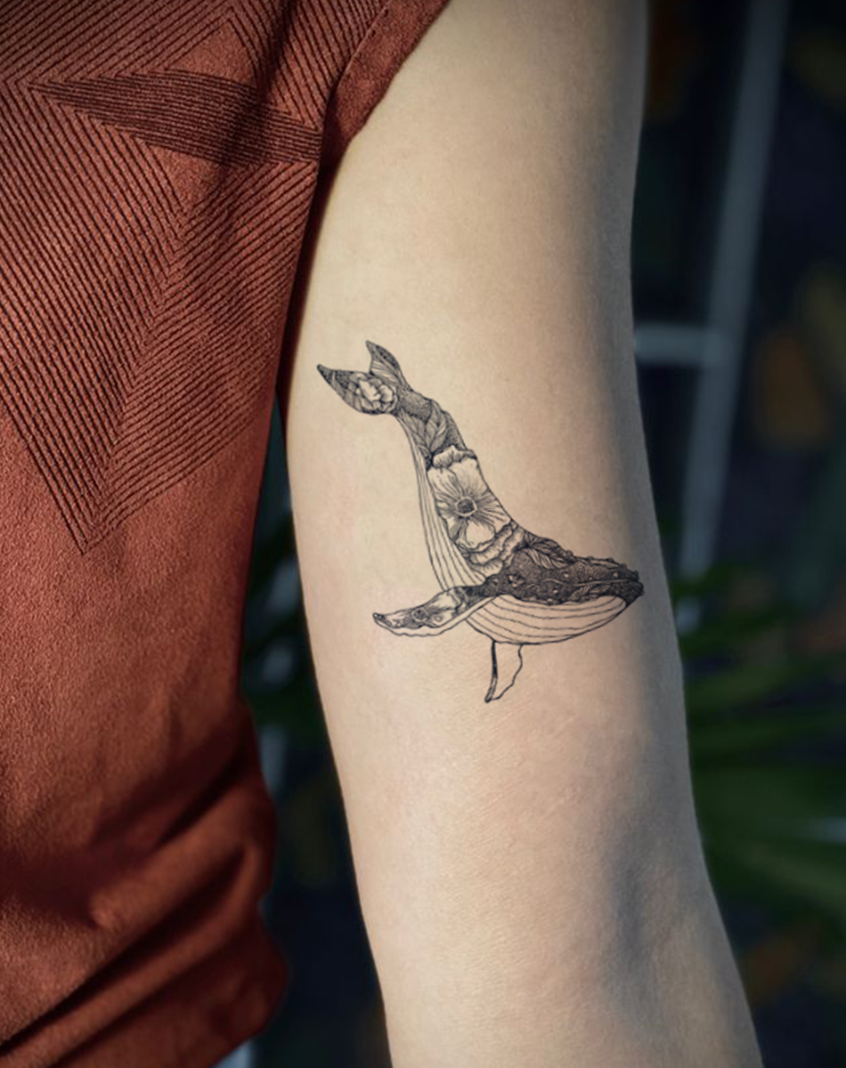 Whale
