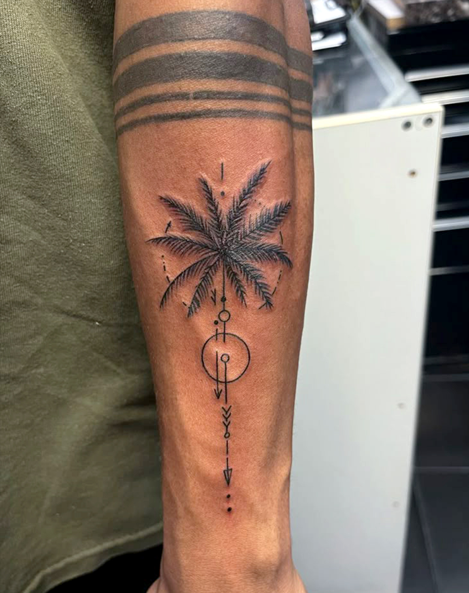 Coconut tree
