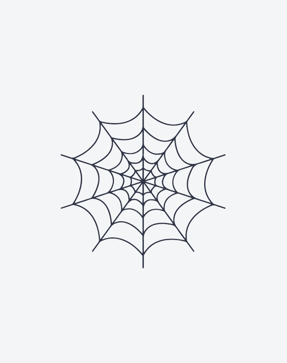 Spider Web