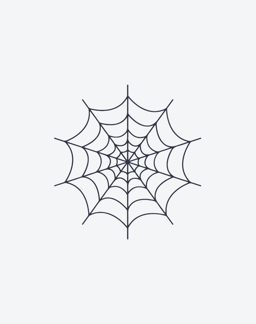 Spider Web