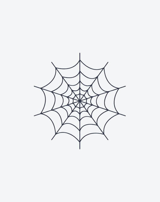 Spider Web