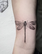 Dragonfly