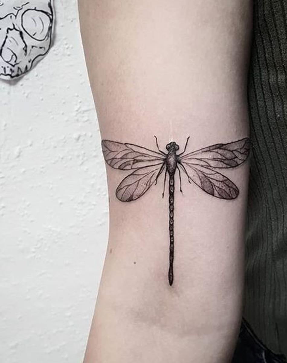 Dragonfly