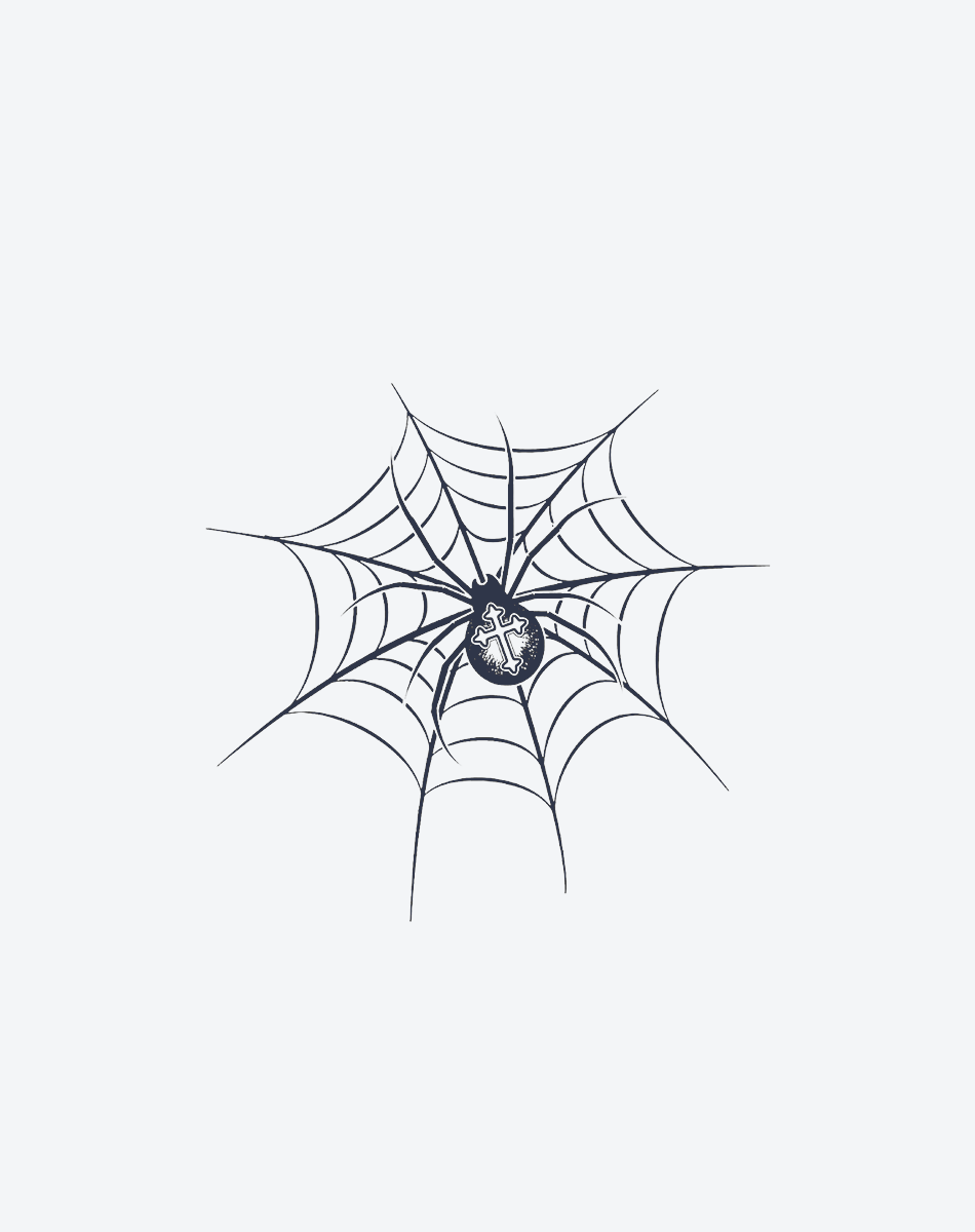 Spider Web