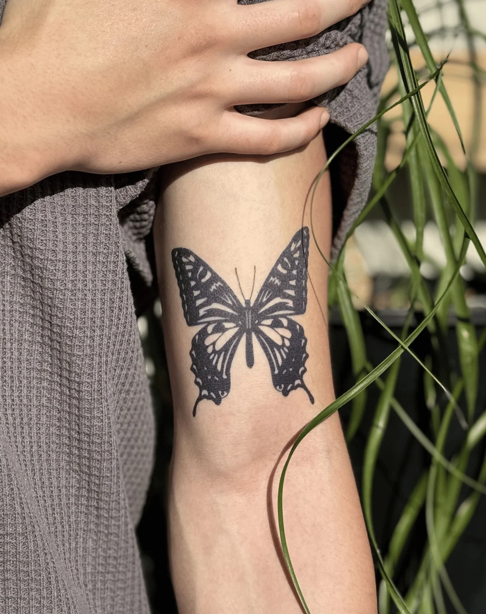 Butterfly
