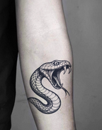 Striking Serpent