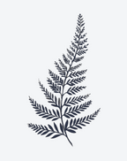 Evergreen Minimal Tattoo