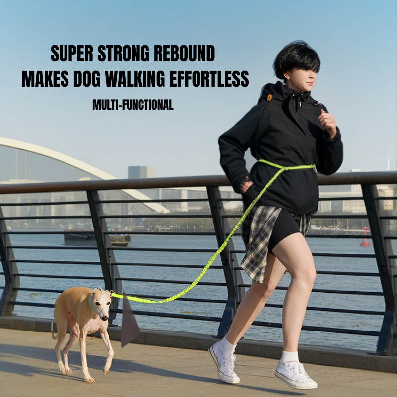 Elastic leash