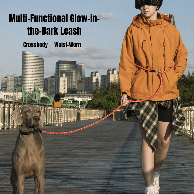 Glow-in-the-dark Pet Leash