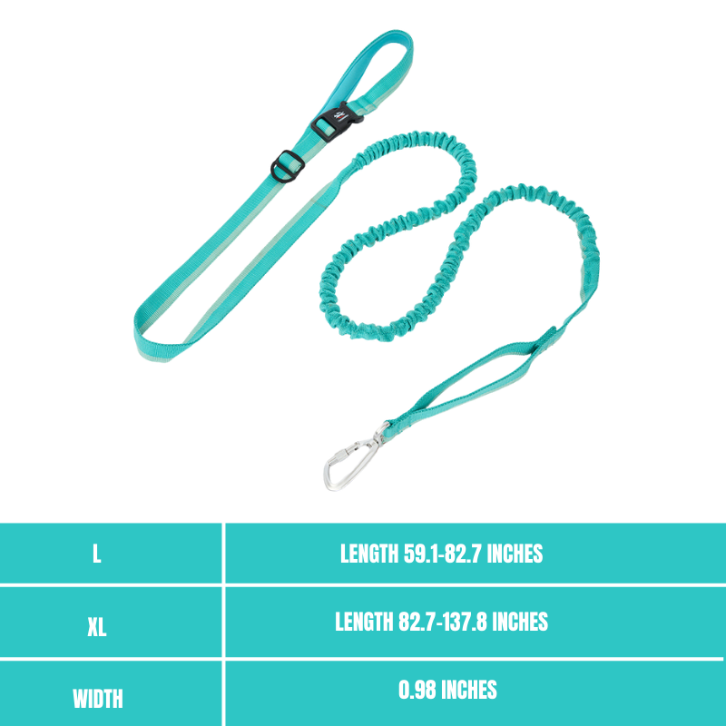 Elastic leash