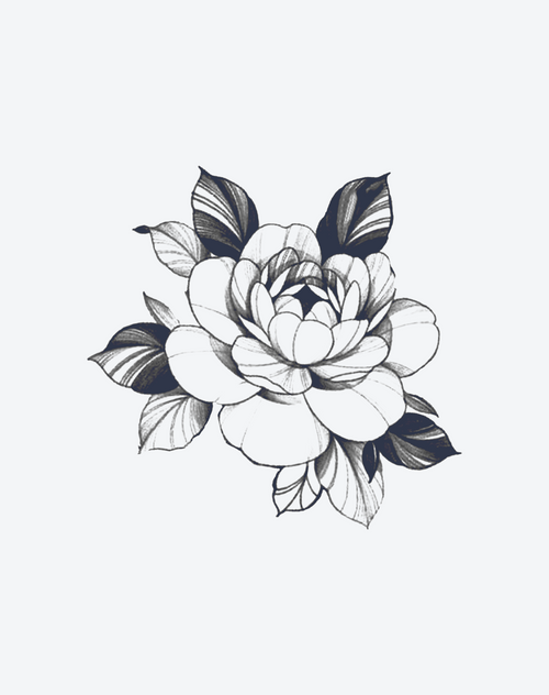 Camellia Soul
