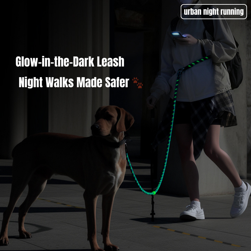 Glow-in-the-dark Pet Leash