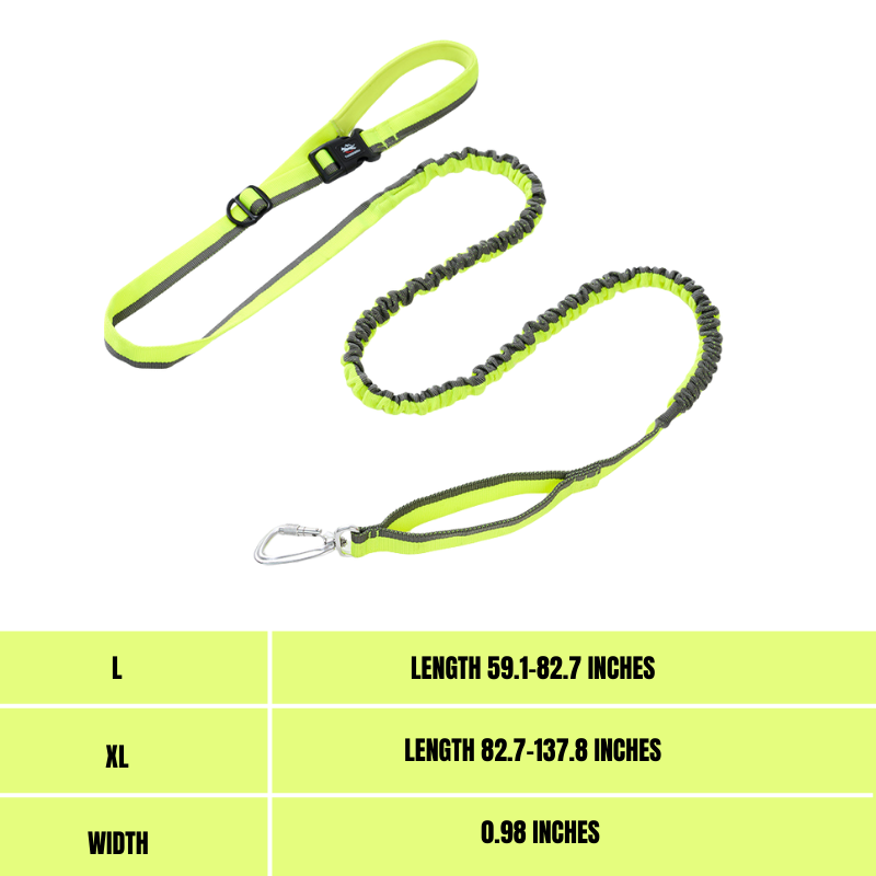 Elastic leash