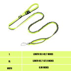 Elastic leash
