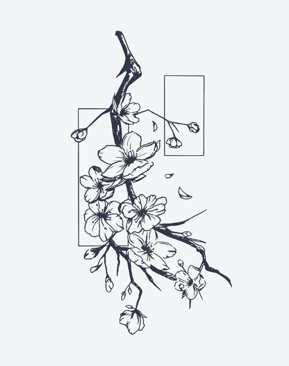 Chimonanthus praecox