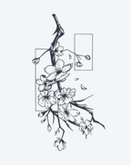 Chimonanthus praecox