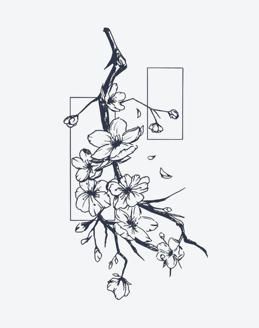 Chimonanthus praecox