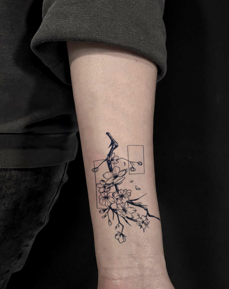 Chimonanthus praecox