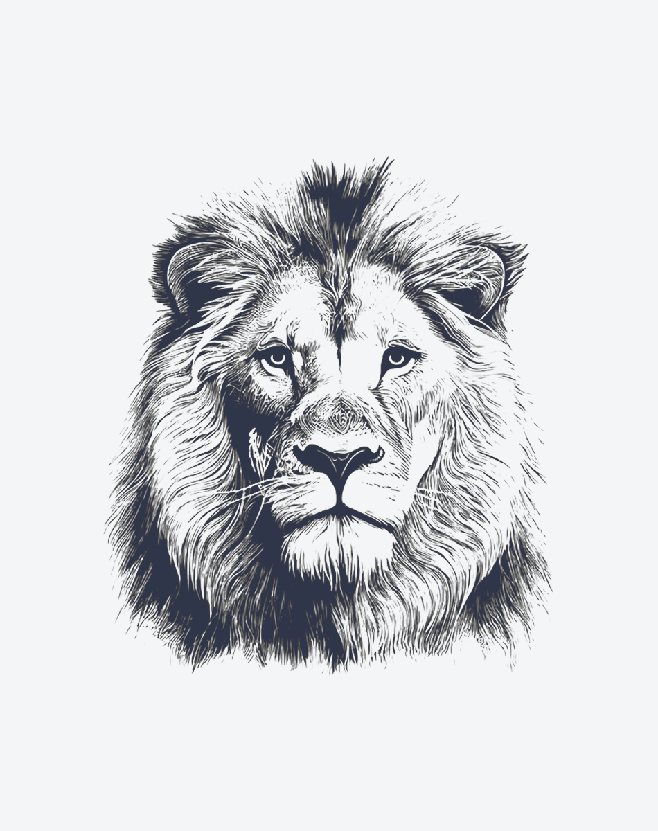 male lion