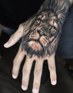 Kings of the Wild（5 pieces）