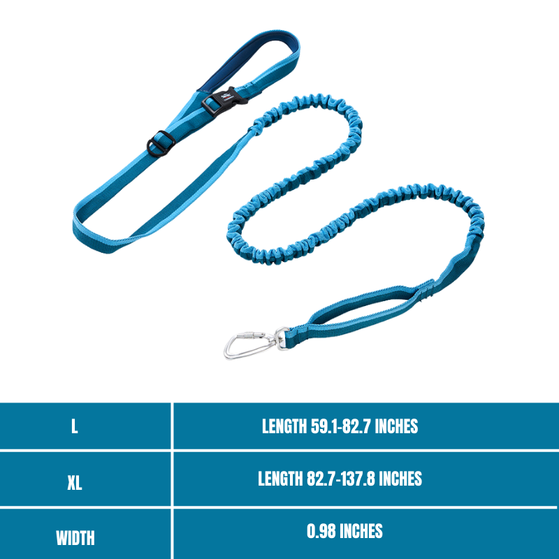 Elastic leash