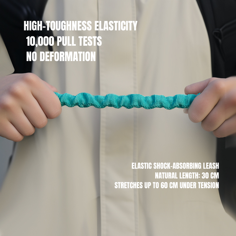 Elastic leash