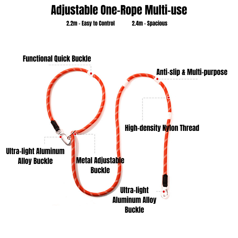 Glow-in-the-dark Pet Leash