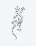 Enchanted Lizard