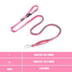 Elastic leash