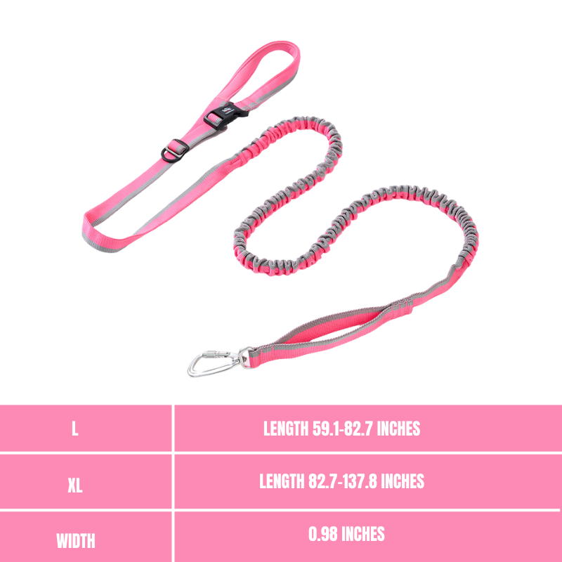 Elastic leash