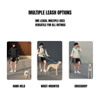 Elastic leash
