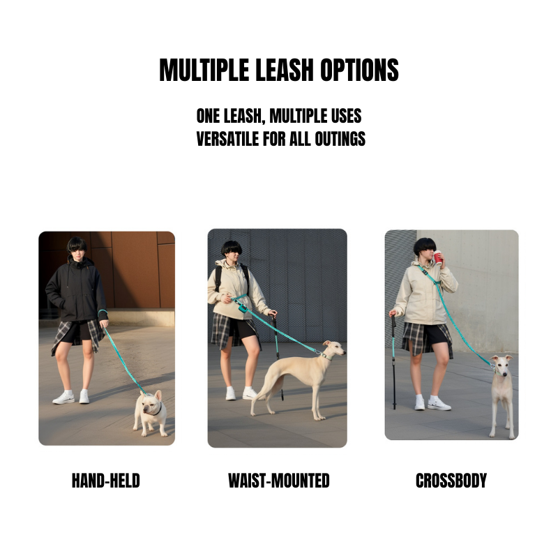 Elastic leash