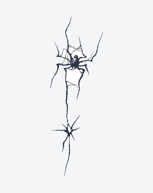 Shadowbreak Spider