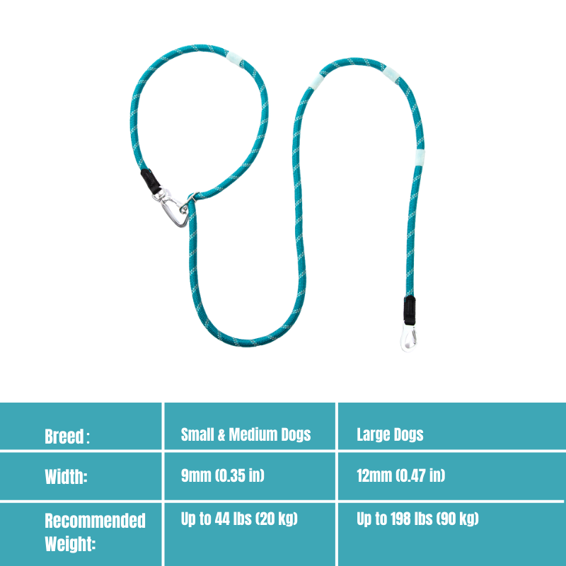 Glow-in-the-dark Pet Leash