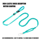 Elastic leash