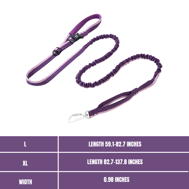 Elastic leash