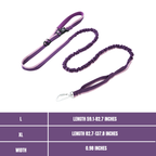 Elastic leash