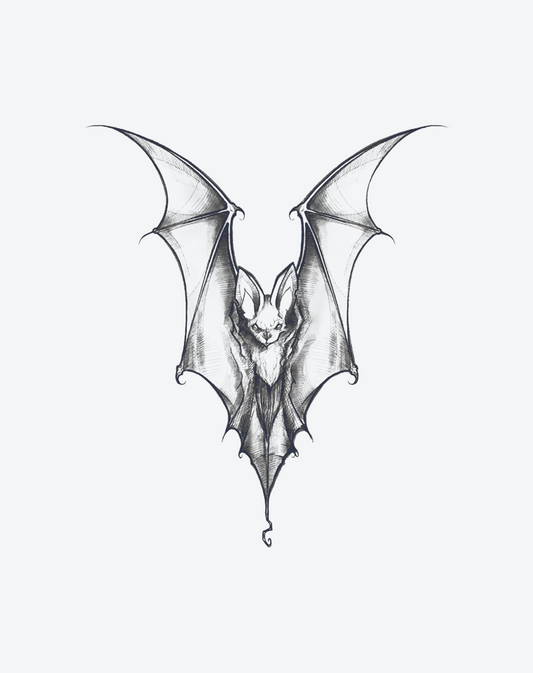 Night Glider
