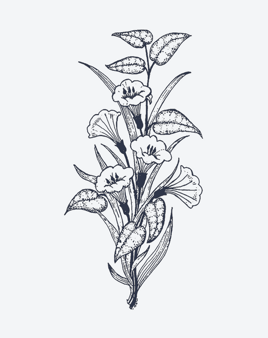 Minimalist Plant Line Art