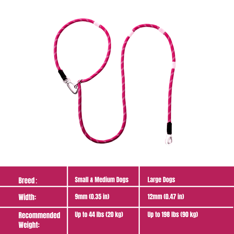 Glow-in-the-dark Pet Leash