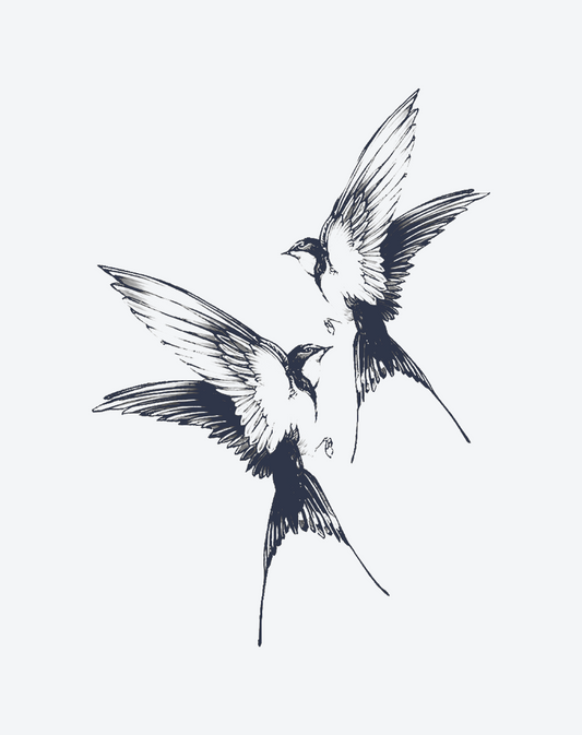 Brid