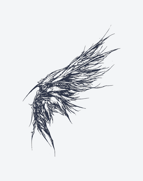 Wing