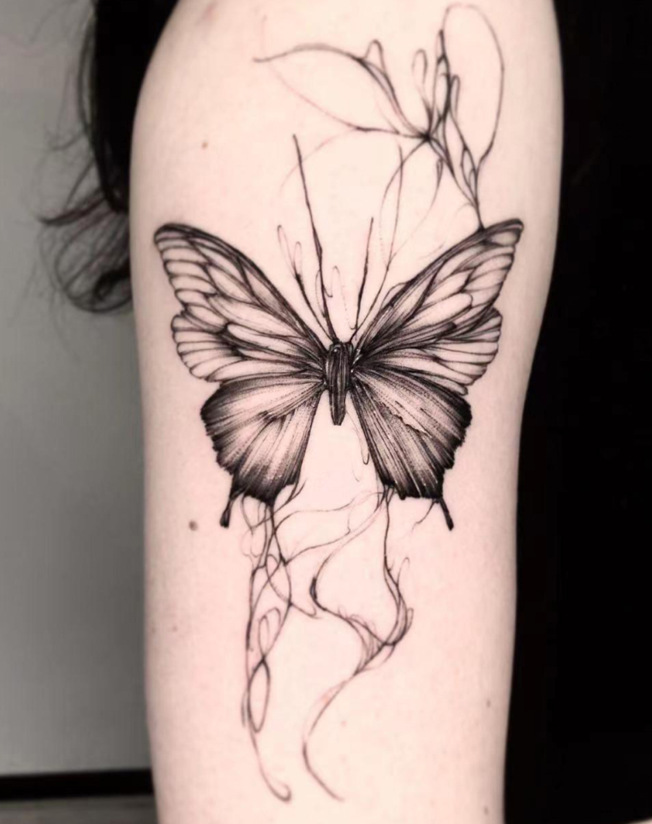 Butterfly