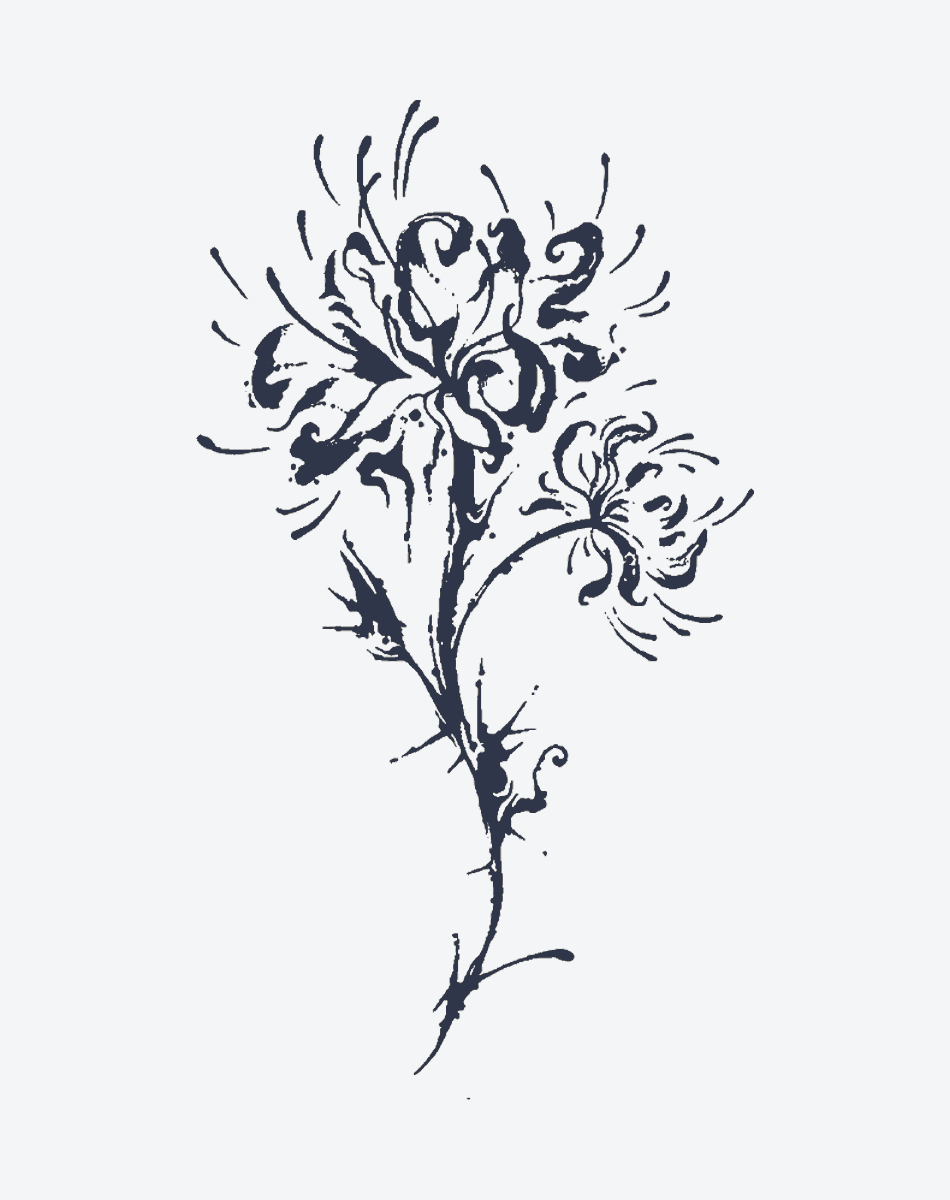 Flowers of the Other Shore