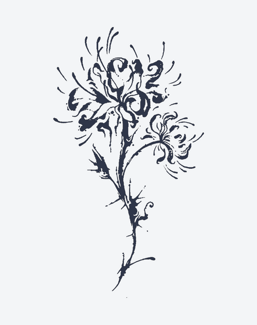 Blumen des anderen Ufers