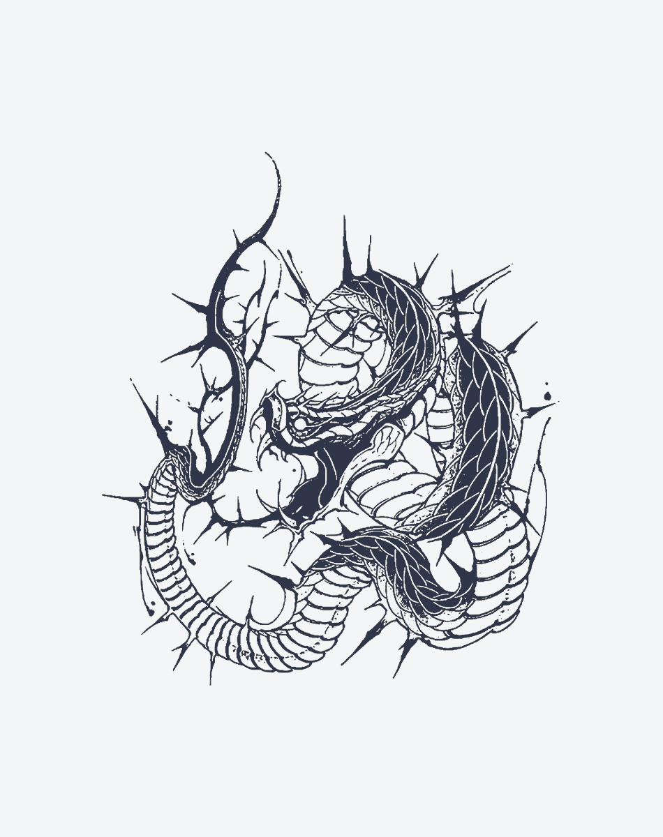 Dragon of the Fractured Realm