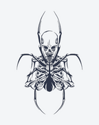 Skeleton spider