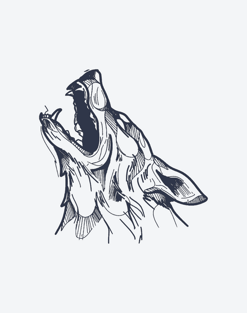 Wolf Head