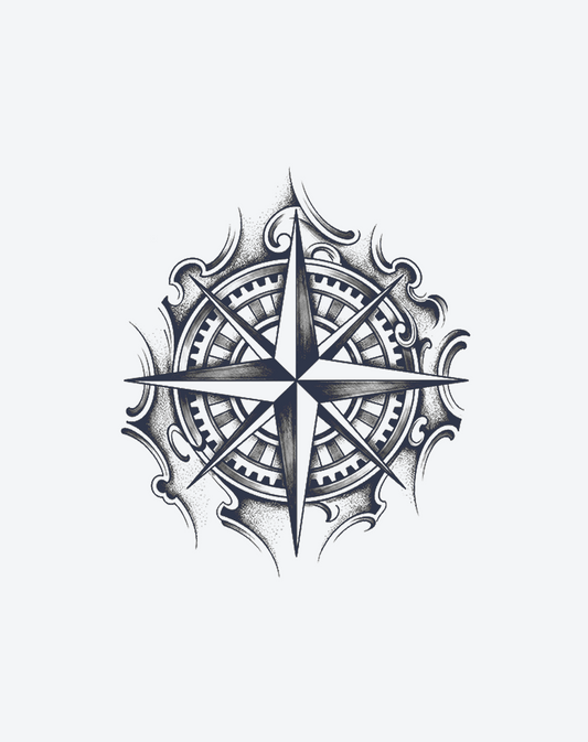 The NaviThe Navigator's Compassgator's Compass